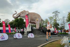 BIB: 
                            <button type="button" onclick="openModal(26528388)" class="btn btn-primary btn-sm float-right btn-popup" data-toggle="modal" data-target=".modal-high-quality">
                        <i class="fas fa-shopping-cart"></i> Add to Cart
                    </button>
                                            <button type="button" onclick="isThisMe(26528388, true)" class="btn btn-success btn-sm float-right btn-popup btn-isme hidden" data-toggle="tooltip" data-placement="bottom" title="นี่คือรูปของคุณใช่ไหม คลิกที่นี่เพื่อเอาเข้าอัลบั้ม">
                        <i class="fas fa-plus"></i> Add to album
                    </button>
                    <button type="button" onclick="isThisMe(26528388, false)" class="btn btn-warning btn-sm float-right btn-popup btn-isnotme hidden">
                        <i class="fas fa-ban"></i> Remove from album
                    </button>